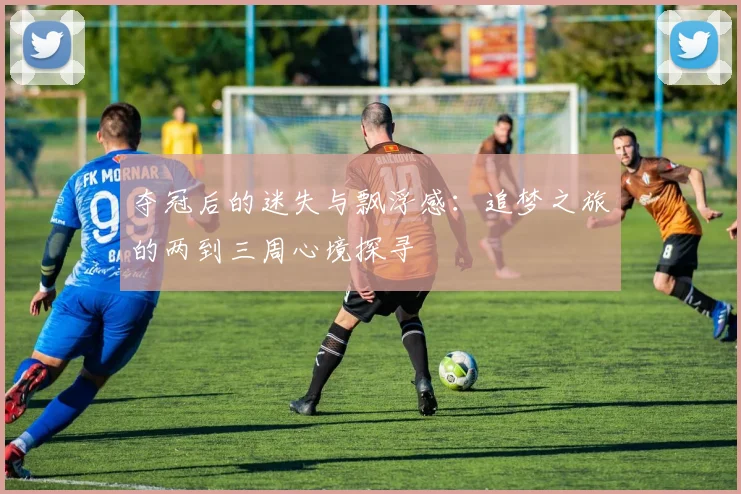 夺冠后的迷失与飘浮感：追梦之旅的两到三周心境探寻